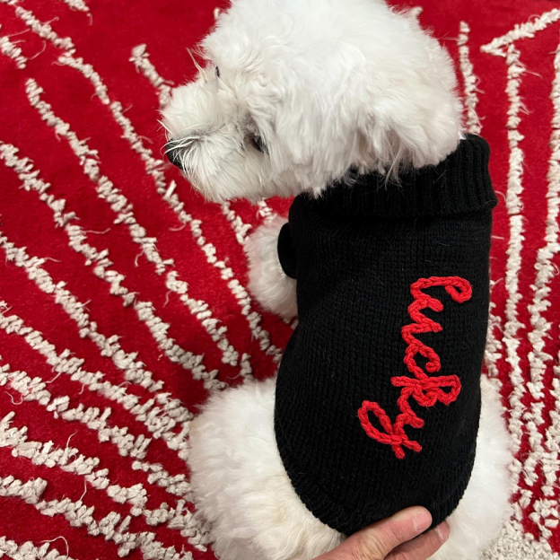 Personalized Hand Embroidery Pets Christmas Knit Sweater | BKPet235
