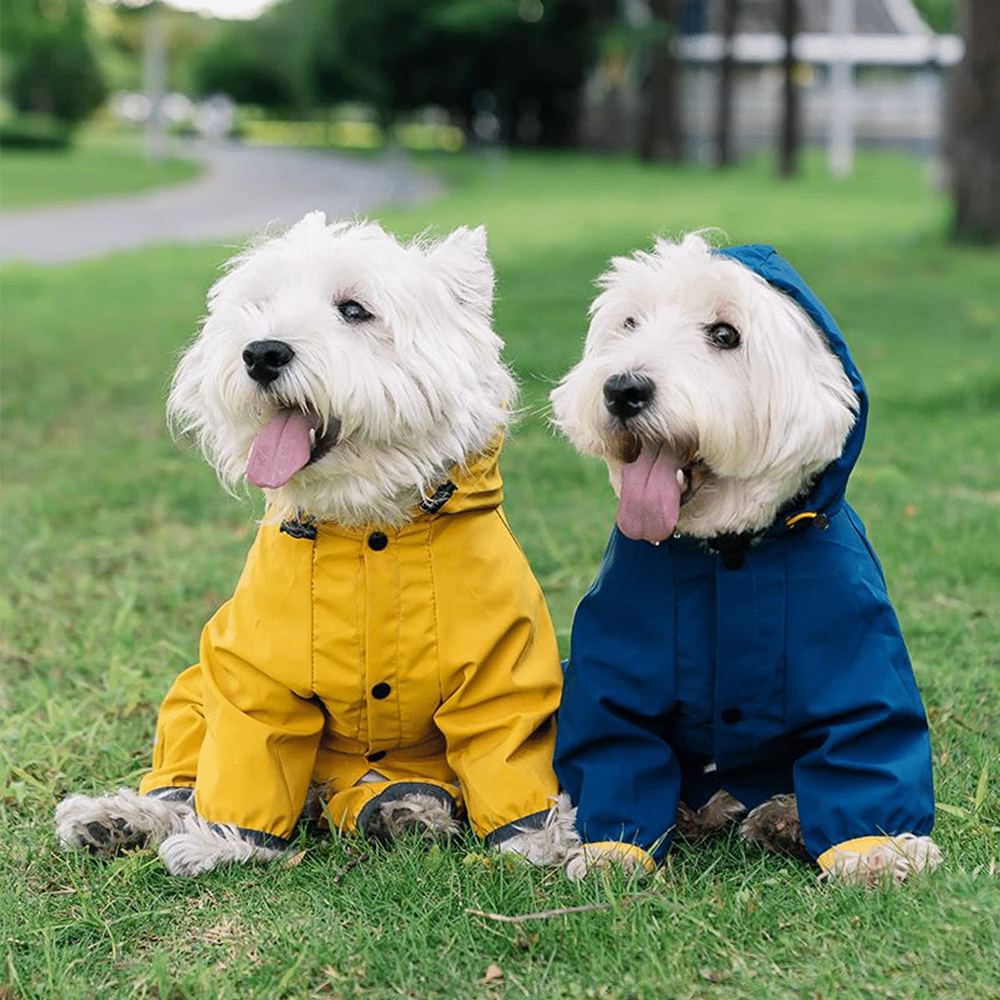 Personalized Pet Waterproop Raincoat with Hood | BKPet346