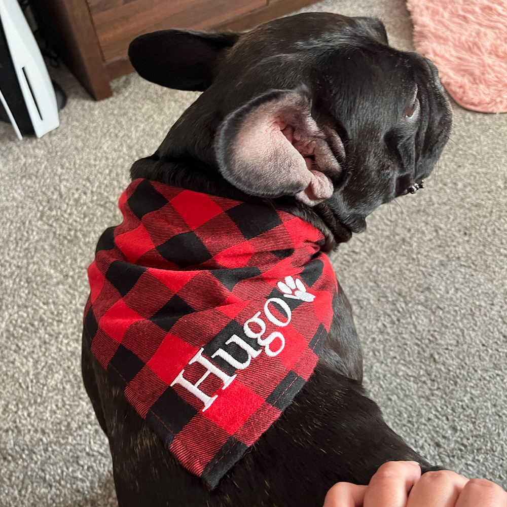 Personalized Embroidered Dog Bandana for Comfort & Unique | BKPet164