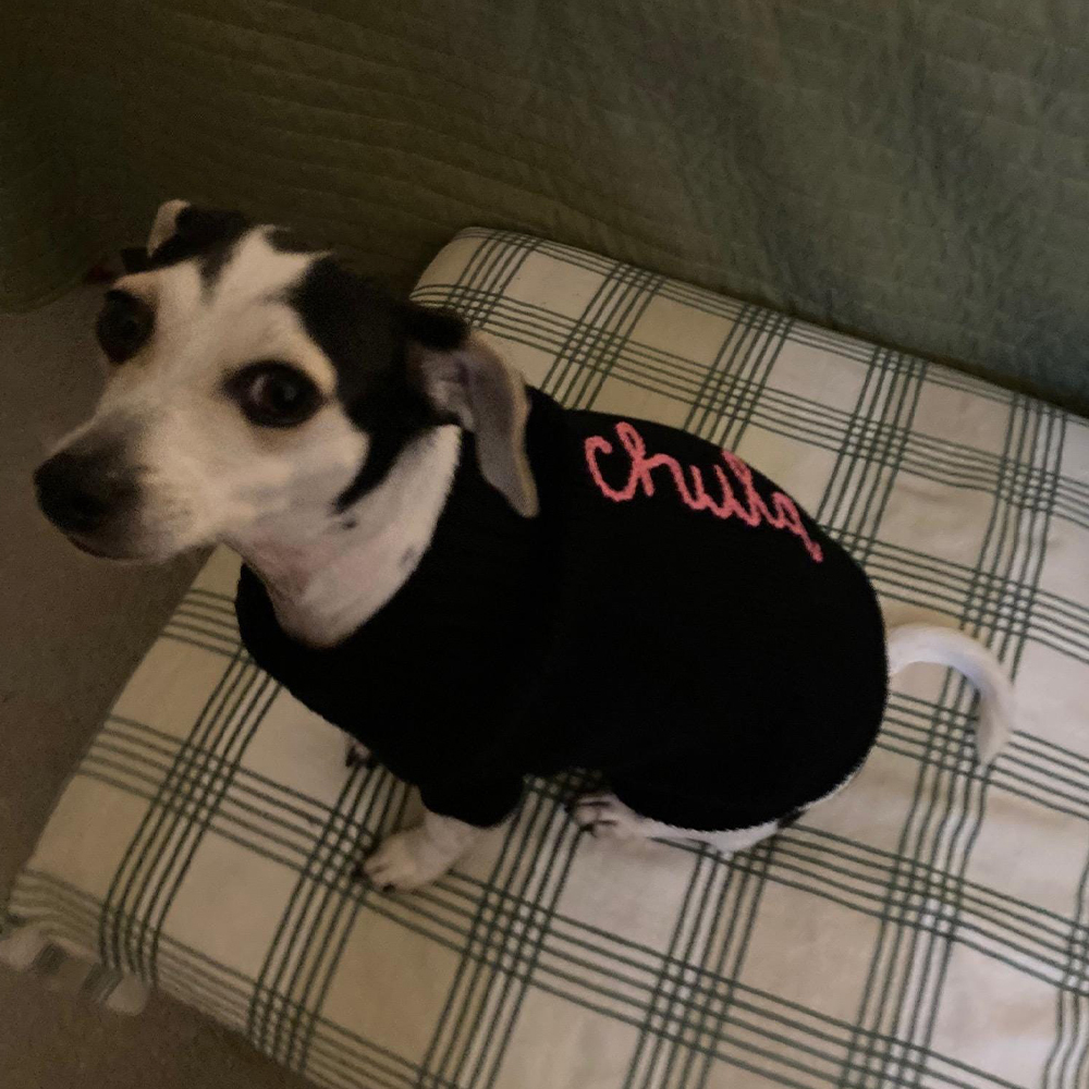 Personalized Hand Embroidery Pets Christmas Knit Sweater | BKPet235