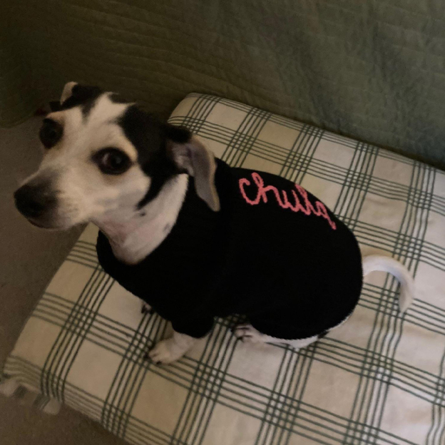 Personalized Hand Embroidery Pets Christmas Knit Sweater | BKPet235