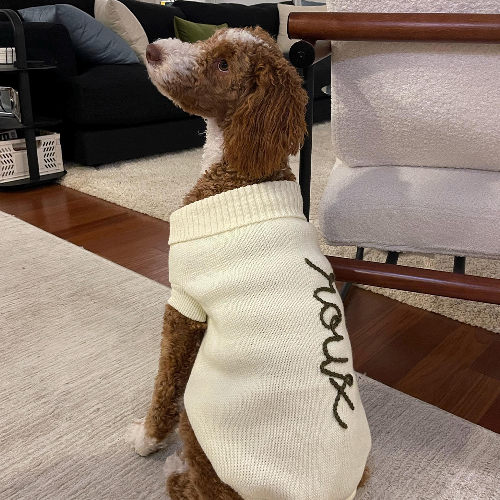 Personalized Hand Embroidery Pets Christmas Knit Sweater | BKPet235