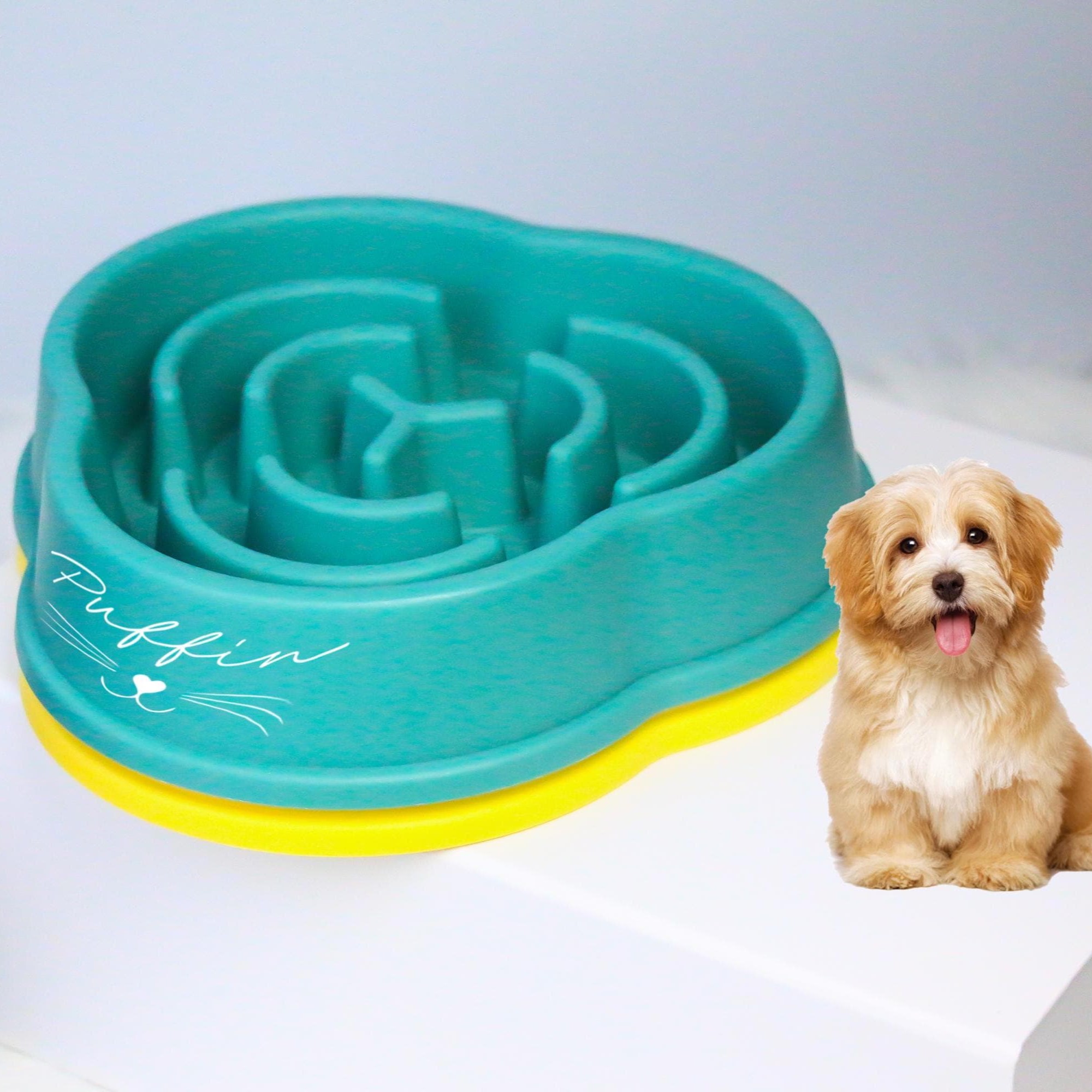 Personalized Anti-Choking Slow Feeder Pet Bowl | BKPet94