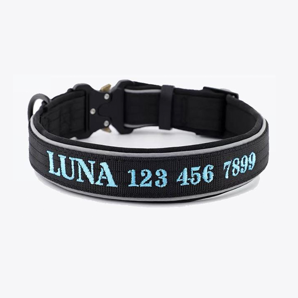 Personalized Embroidered Dog Collar & Leash Set | BKPet434