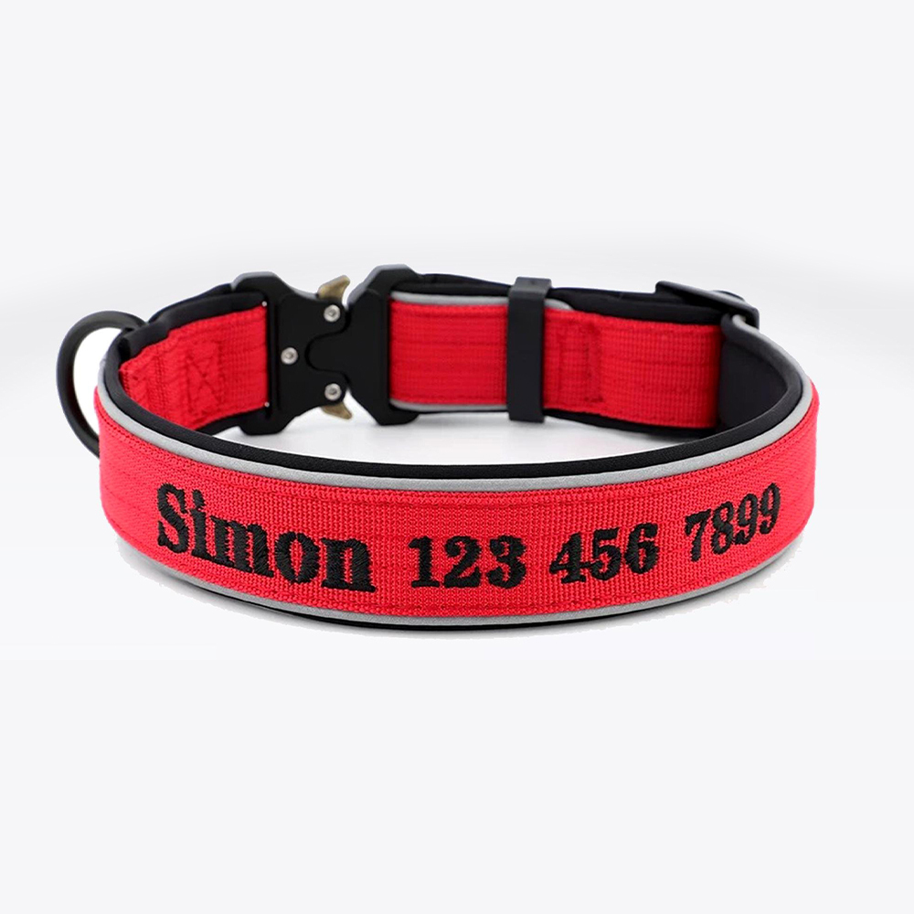 Personalized Embroidered Dog Collar & Leash Set | BKPet434