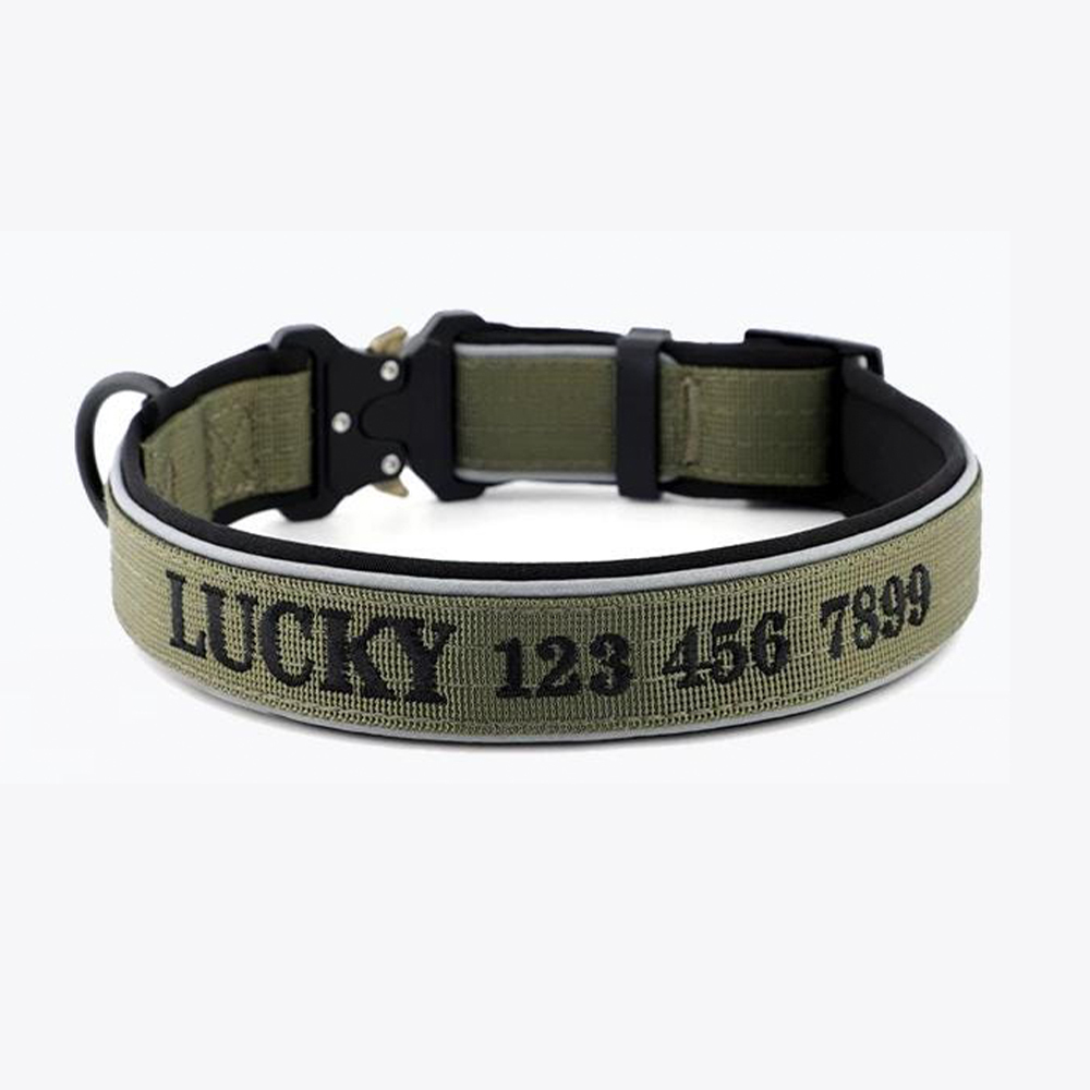 Personalized Embroidered Dog Collar & Leash Set | BKPet434