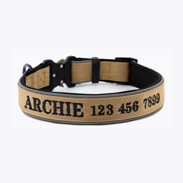 Personalized Embroidered Dog Collar & Leash Set | BKPet434