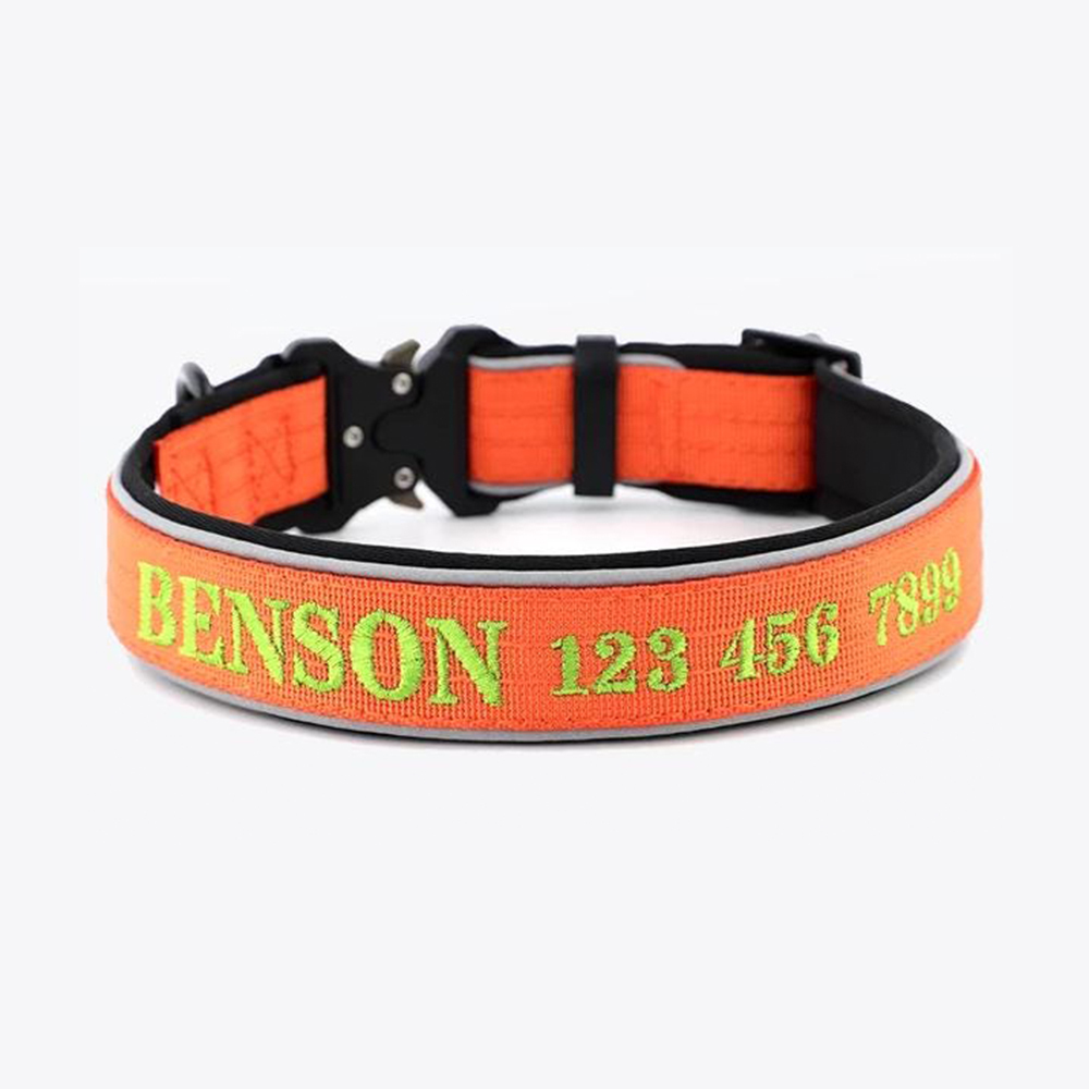 Personalized Embroidered Dog Collar & Leash Set | BKPet434