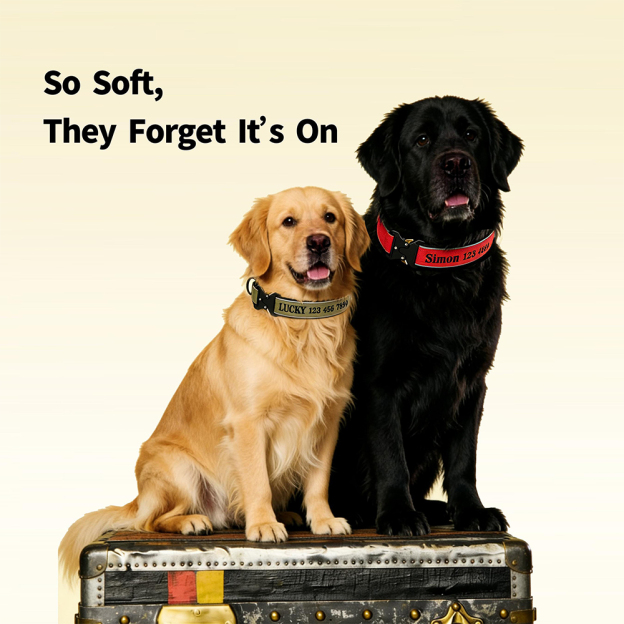 Personalized Embroidered Dog Collar & Leash Set | BKPet434