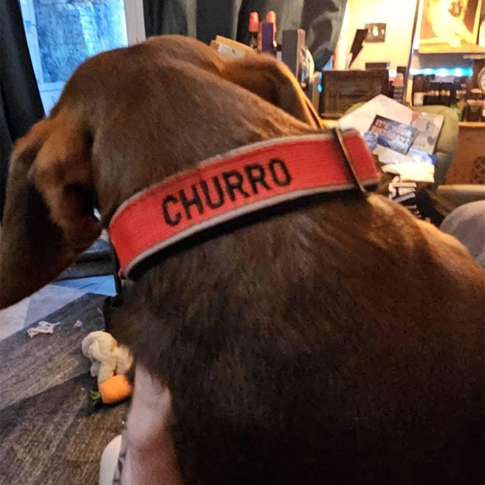 Personalized Embroidered Dog Collar & Leash Set | BKPet434