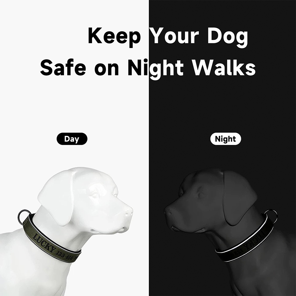 Personalized Embroidered Dog Collar & Leash Set | BKPet434