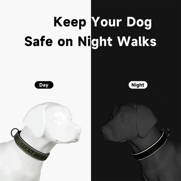 Personalized Embroidered Dog Collar & Leash Set | BKPet434