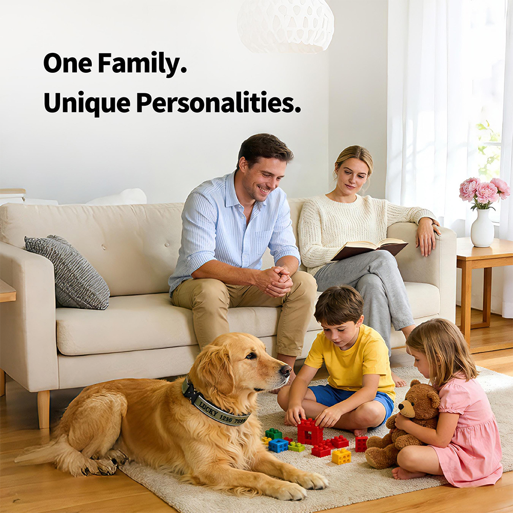 Personalized Embroidered Dog Collar & Leash Set | BKPet434