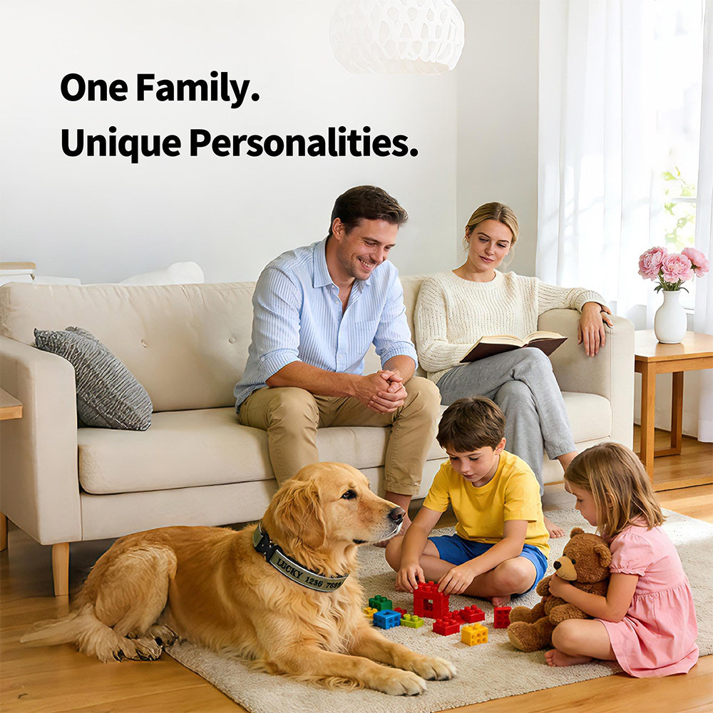 Personalized Embroidered Dog Collar & Leash Set | BKPet434