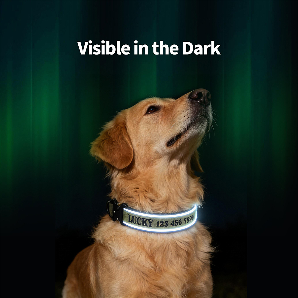 Personalized Embroidered Dog Collar & Leash Set | BKPet434