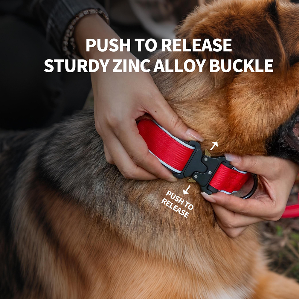 Personalized Embroidered Dog Collar & Leash Set | BKPet434