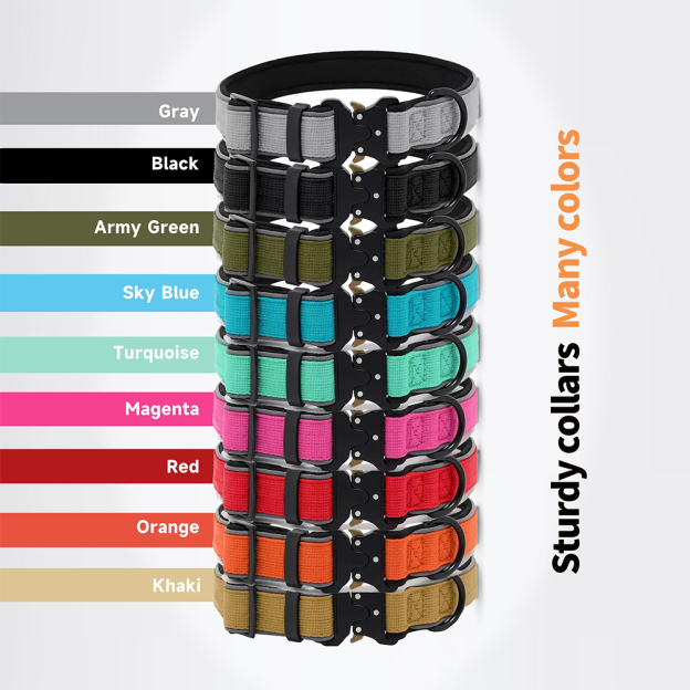 Personalized Embroidered Dog Collar & Leash Set | BKPet434