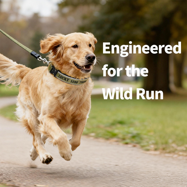 Personalized Embroidered Dog Collar & Leash Set | BKPet434