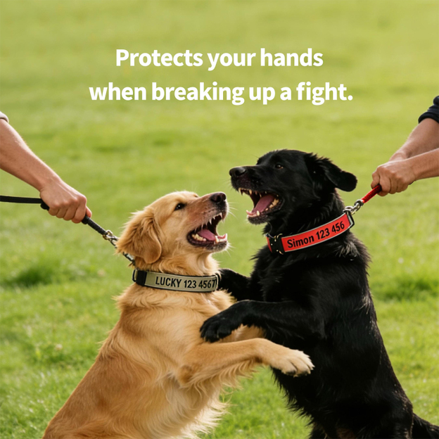 Personalized Embroidered Dog Collar & Leash Set | BKPet434