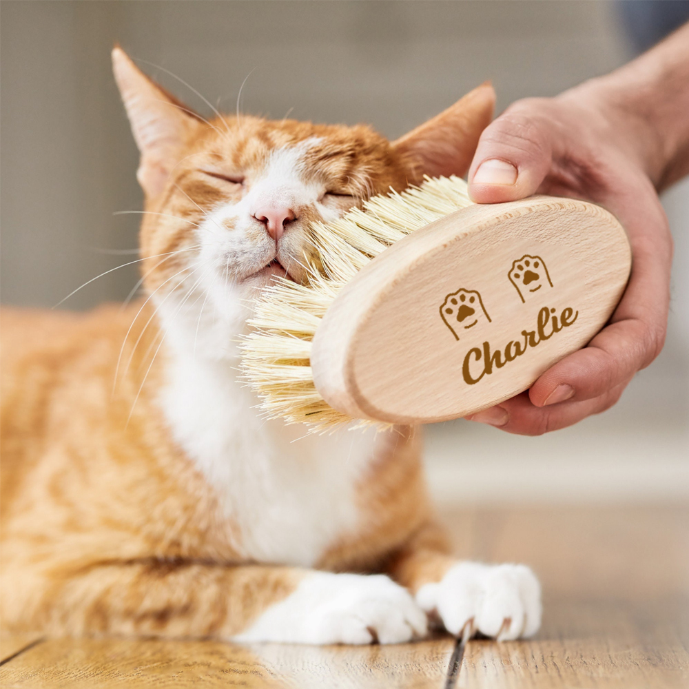 Personalized Pet Natural Beech Wooden Cut Brush | BKPet141