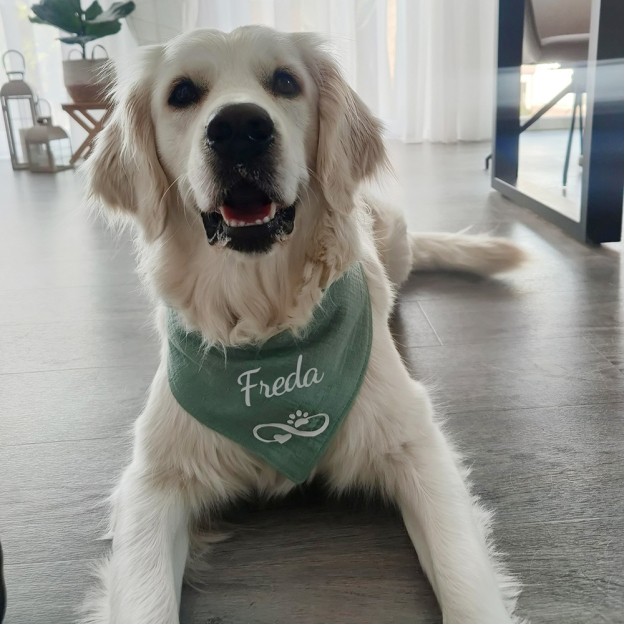 Personalized Dog Scarf Cotton Muslin for Comfort & Unique | BKPet156