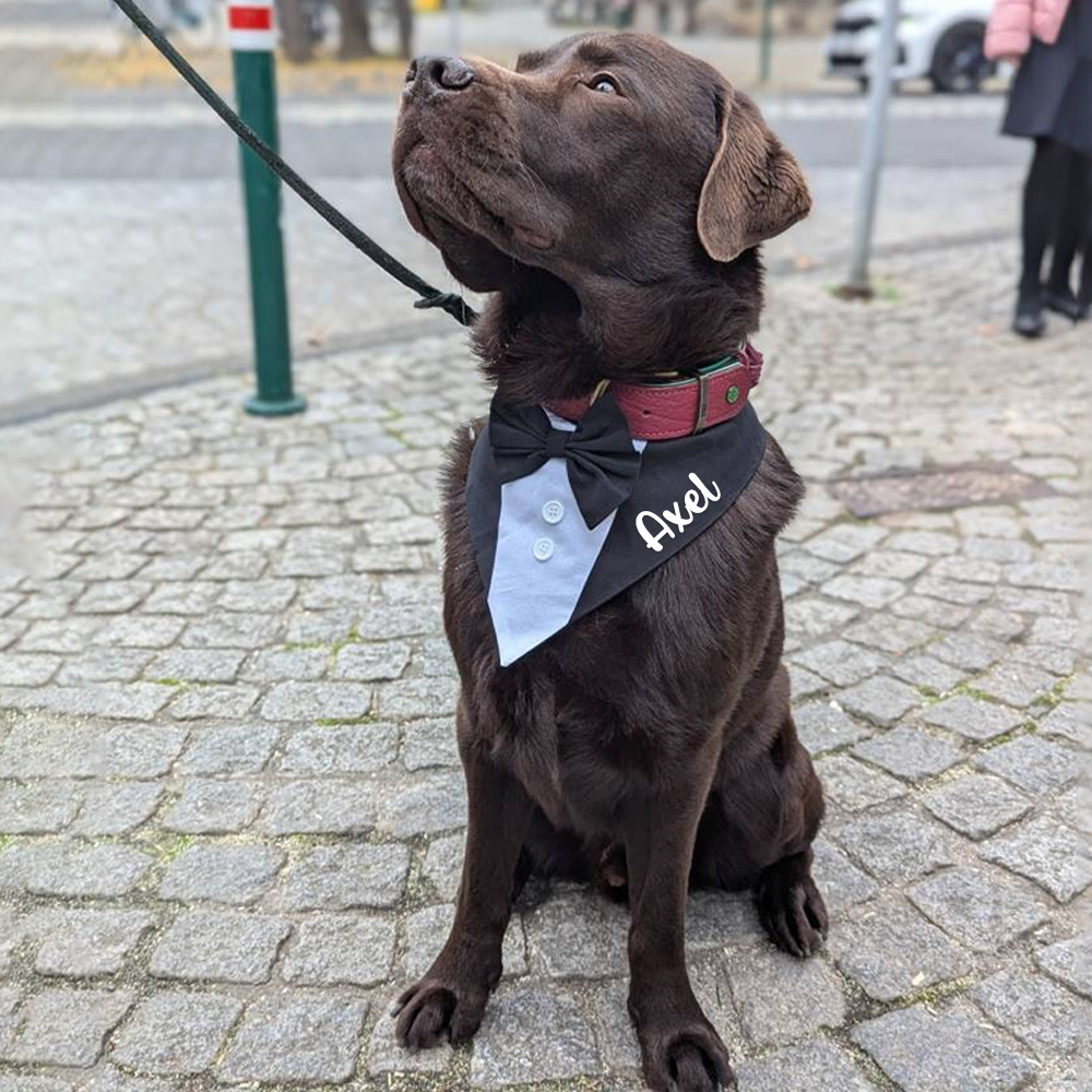 Personalized Wedding Pet Bow Tuxedo Suit | BKPet157