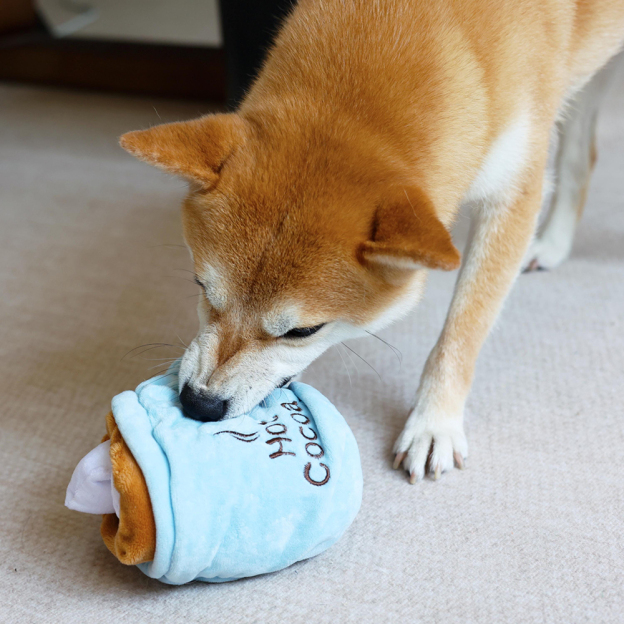 Personalized Handmade Pet Squeaky Interactive Chew Toy | BKPet172