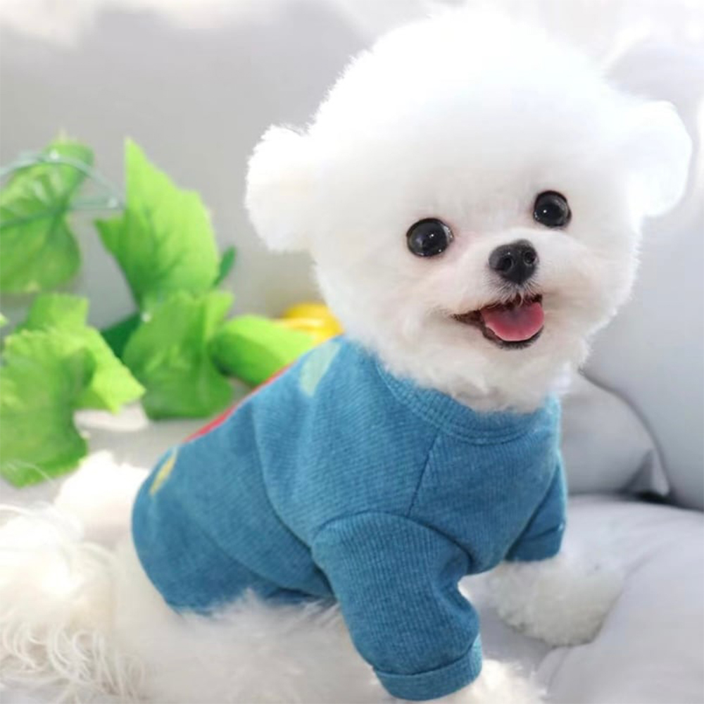 Personalized Pet Cute Comfort Shirt | BKPet178