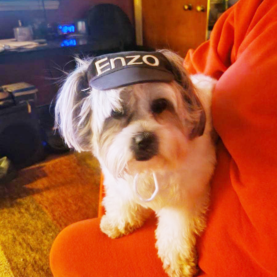 Personalized Embroidery Pet Adjustable Baseball Cap | BKPet182