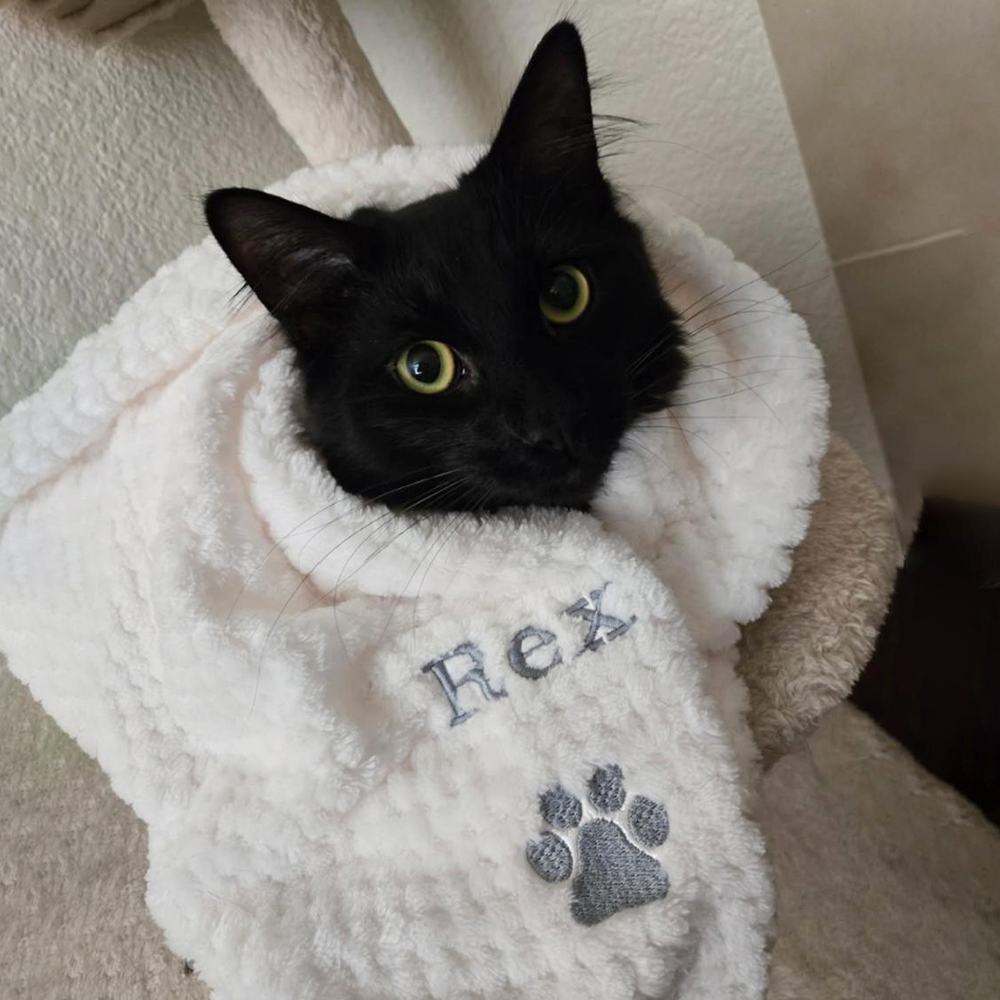 Personalized Embroidered Pet Soft Waffle Blanket | BKPet197