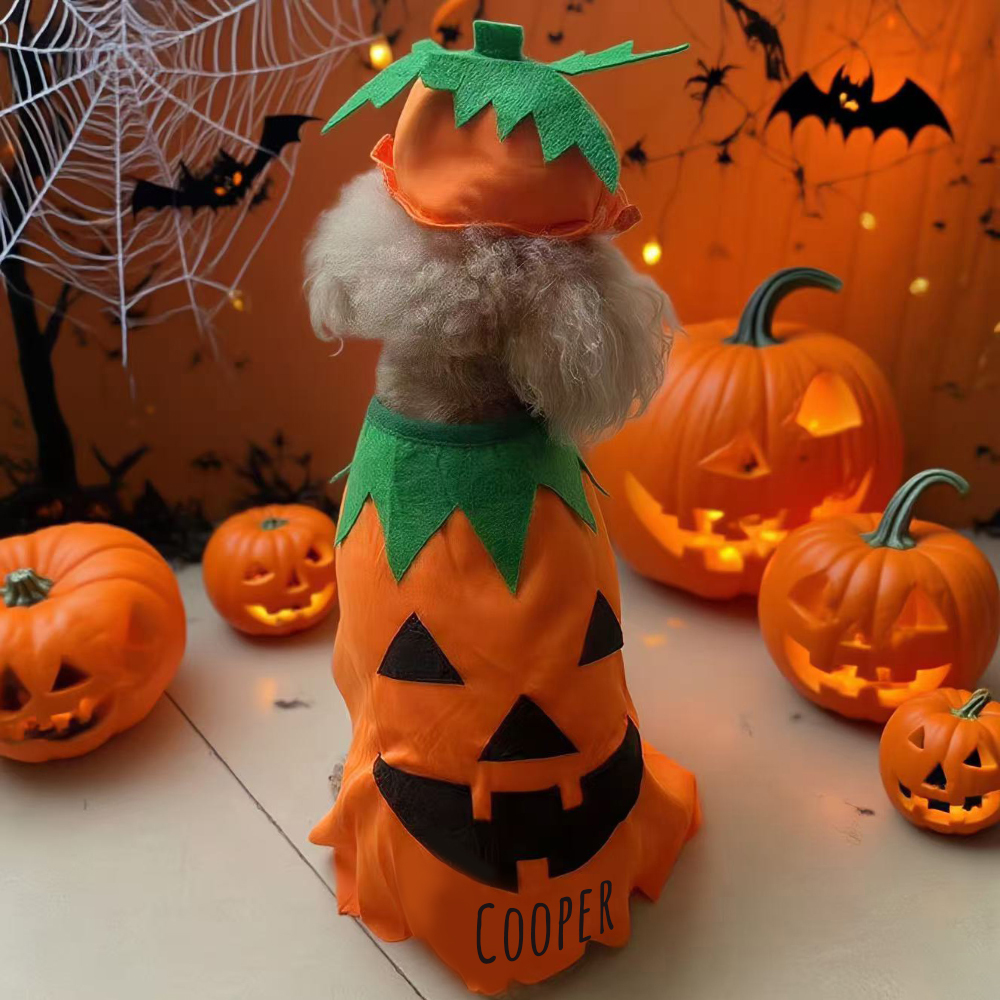 Personalized Halloween Funny Pumpkin Pet Costume | CWHalloween65