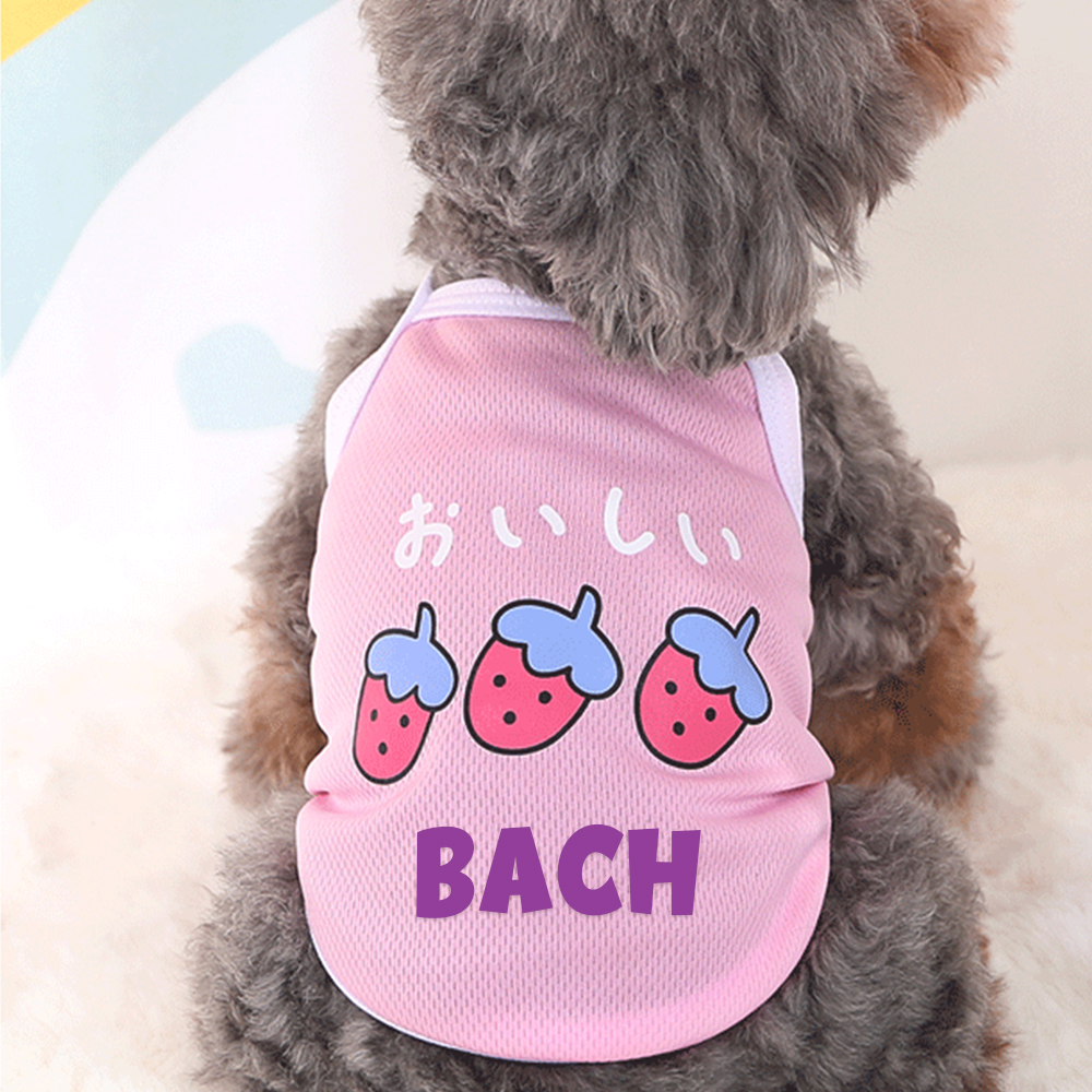 Personalized Cute Breathable Pet Summer Cool Mesh Vest | BKPet205