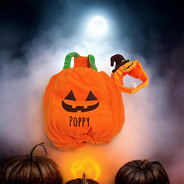 Personalized Halloween Funny Pumpkin Pet Costume | CWHalloween66