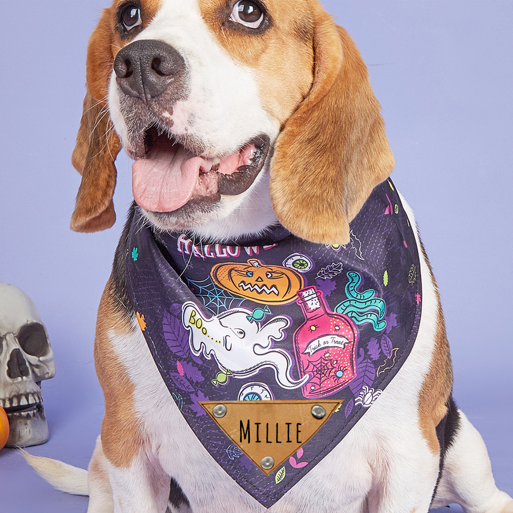 Personalized Halloween Dog Bandana for Comfort & Unique | CWHalloween57