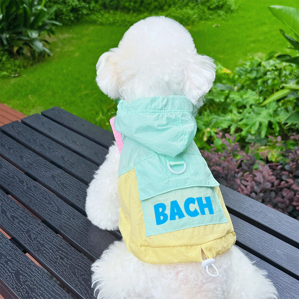Personalized Cute Color Block Pet Summer Hoodie | BKPet207