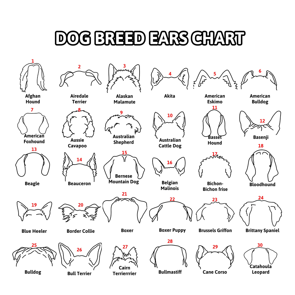 Personalized Memorial Plaque Dog Ear Collar Sign | BKPet212