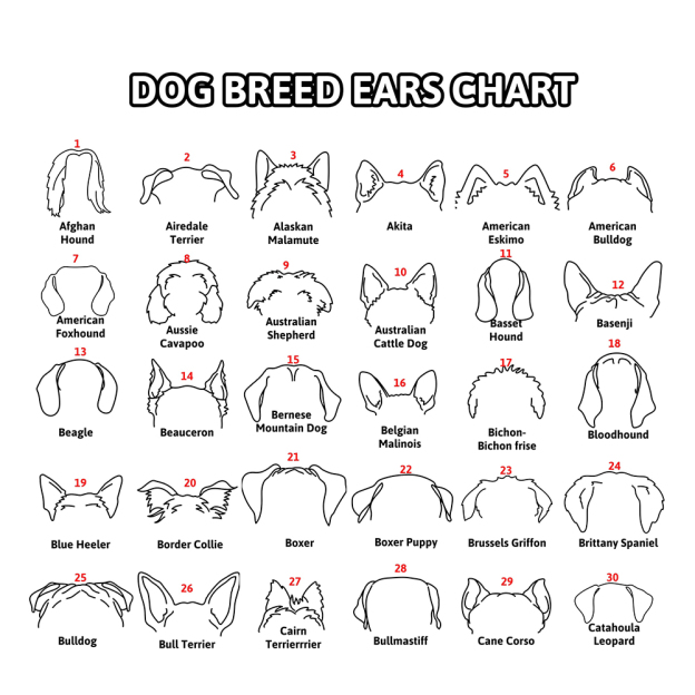 Personalized Memorial Plaque Dog Ear Collar Sign | BKPet212