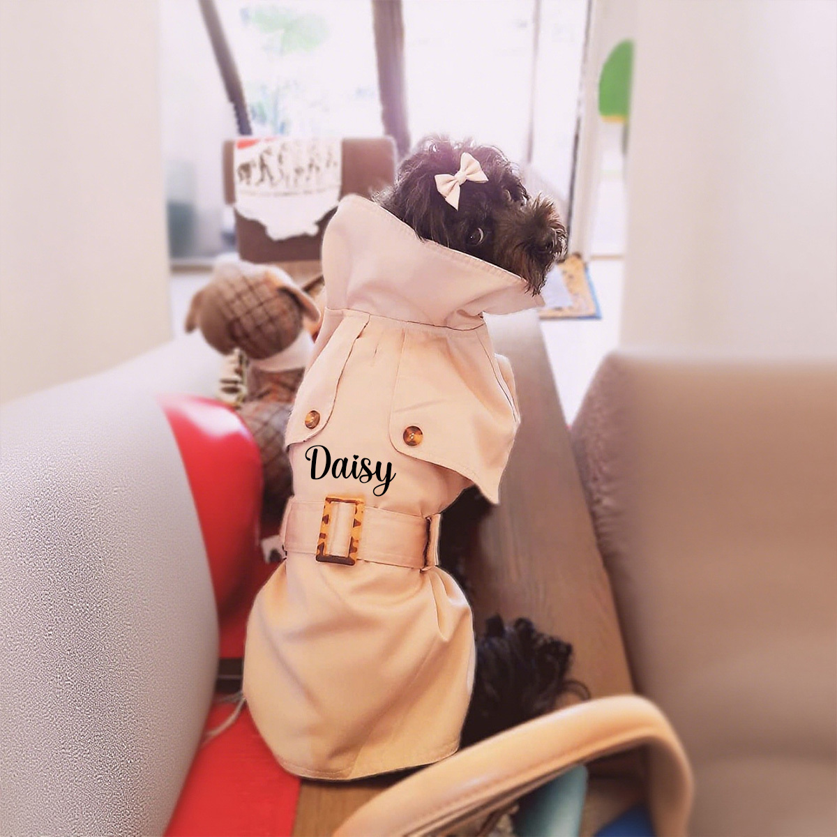 Personalized Pet British Style Jacket | BKPet215