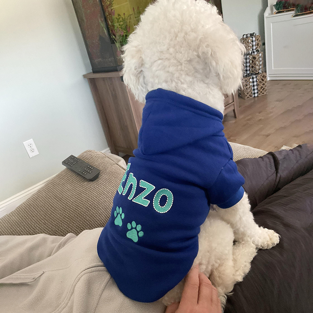 Personalized Warm Puppy Hoodie for Comfort & Unique | BKPet22