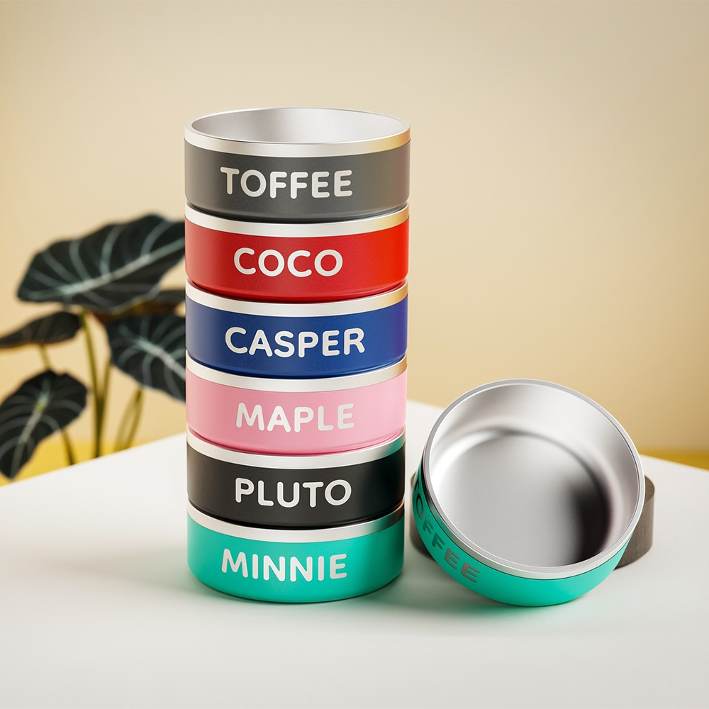 Personalized Stainless Steel Pet Food Bowl | BKPet229