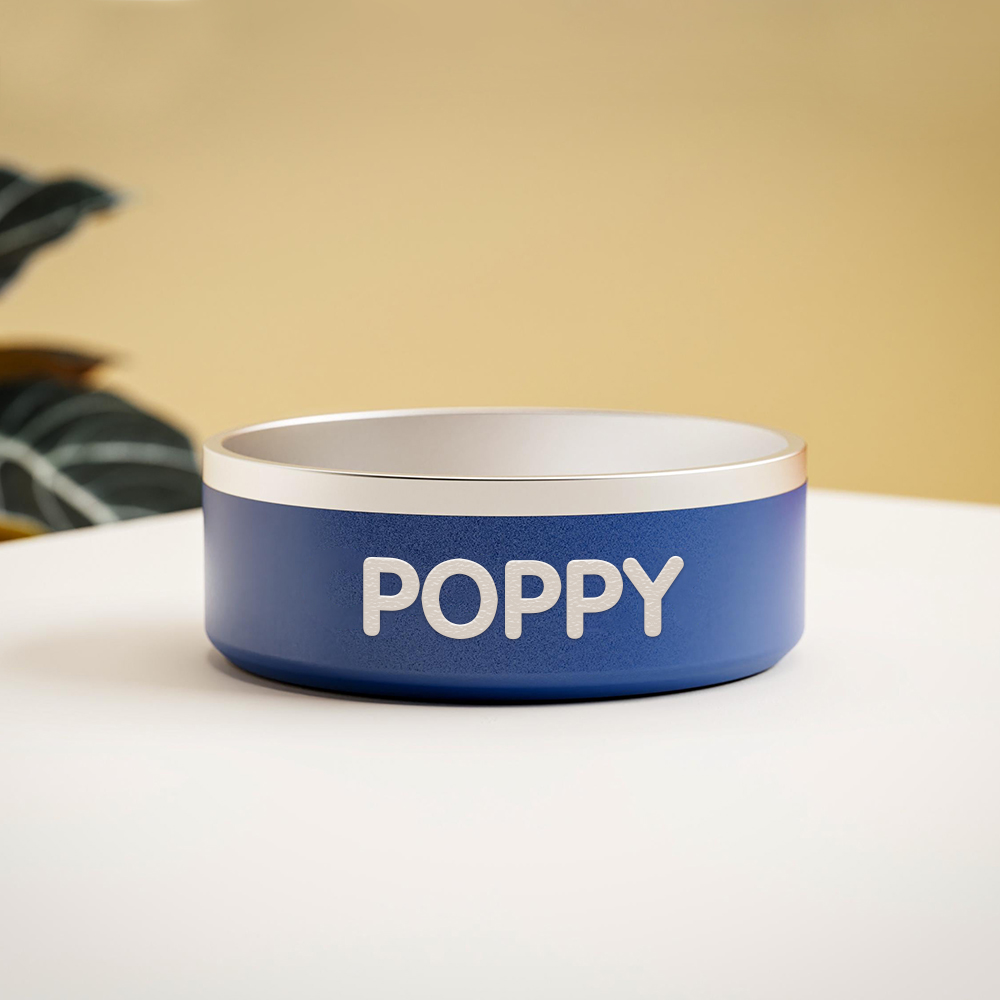 Personalized Stainless Steel Pet Food Bowl | BKPet229