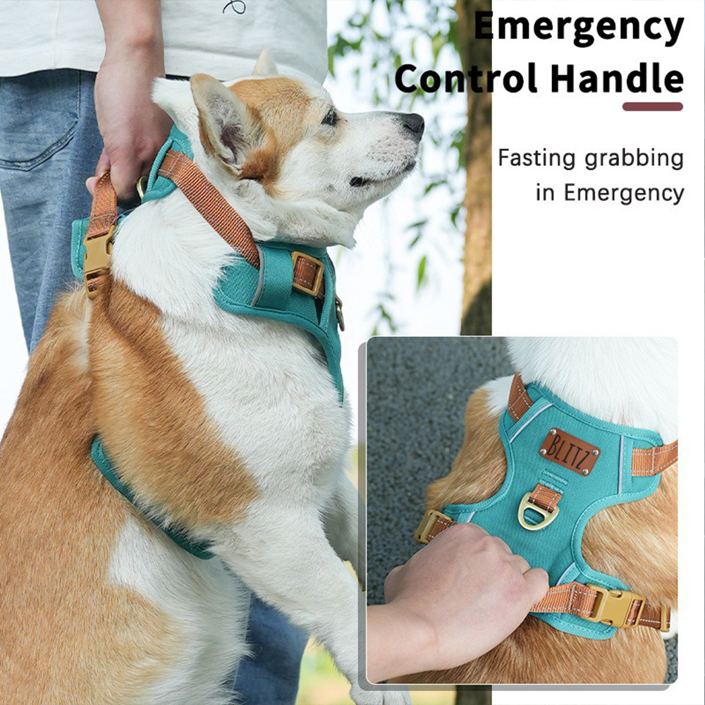 Personalized Night Reflective Luxury Puppy Harness | BKPet237