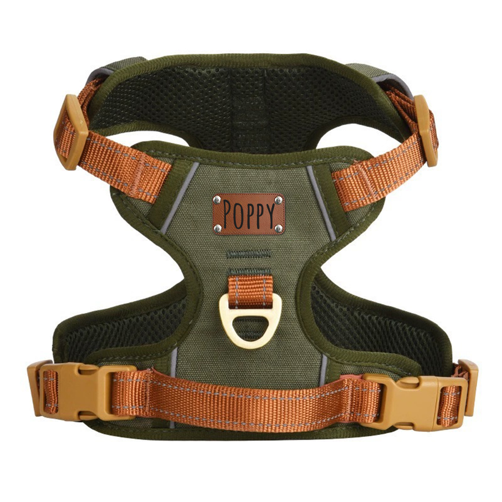 Personalized Night Reflective Luxury Puppy Harness | BKPet237
