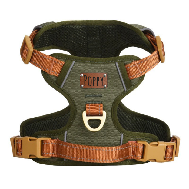 Personalized Night Reflective Luxury Puppy Harness | BKPet237