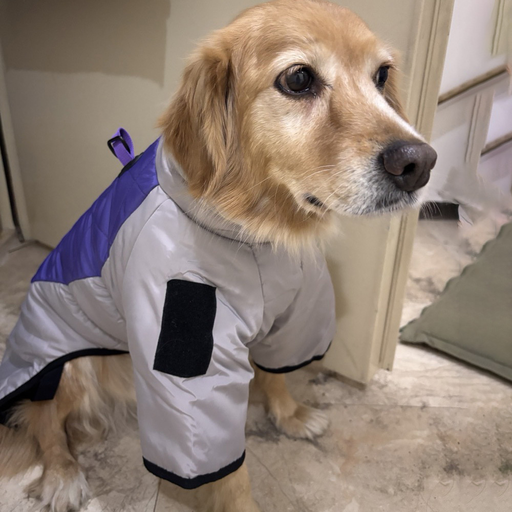 Personalized Pet Winter Warm Windproof Large Puffer Jacket | BKPet281