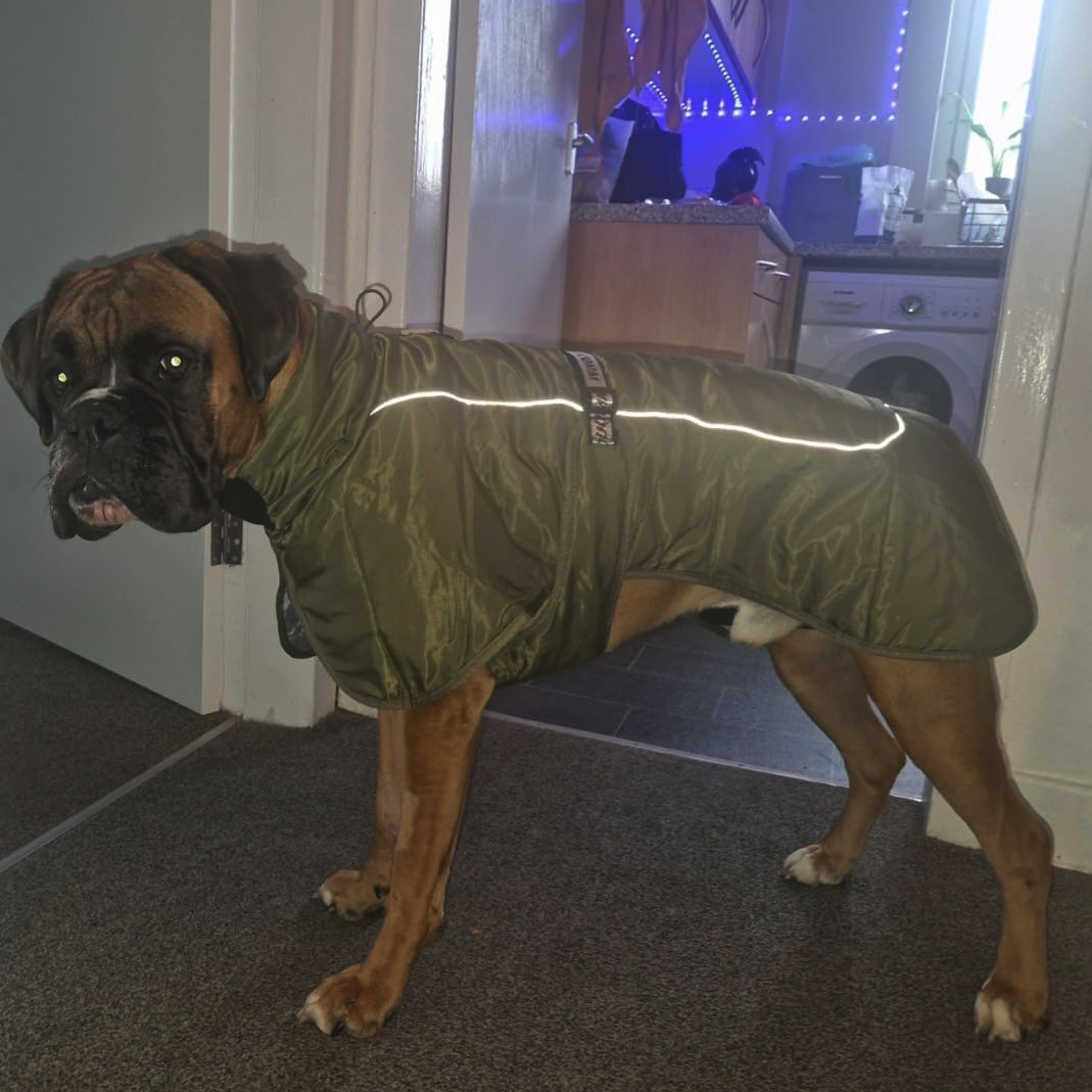 Personalized Pet Winter Warm Reflective Safety Puffer Vest | BKPet302