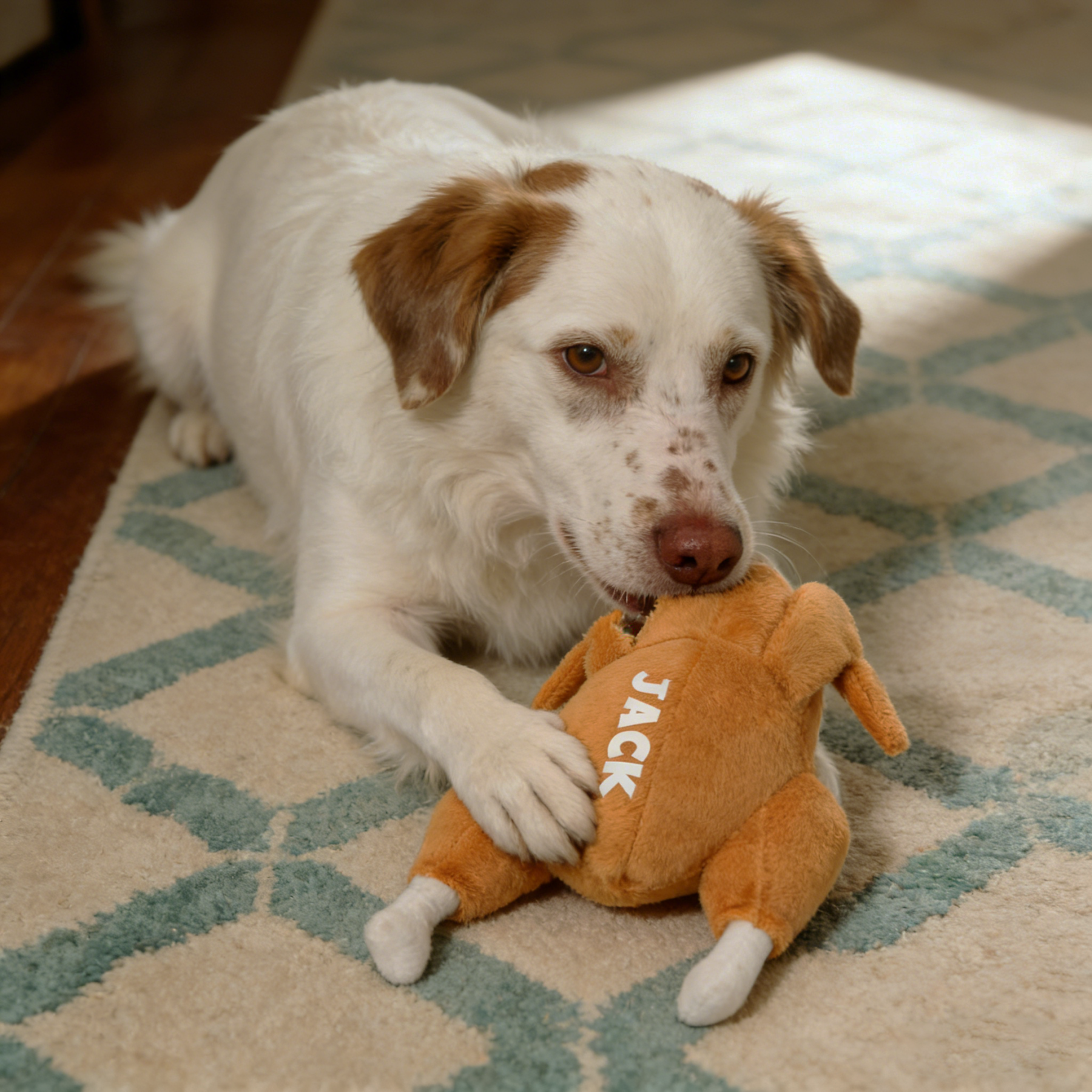 Personalized Funny Roast Chicken Pet Squeaky Toy | BKPet313