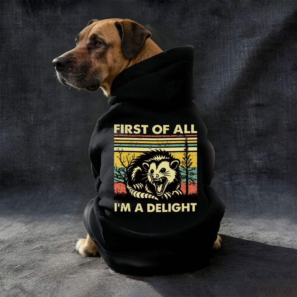 FIRST OF ALL I'M A DELIGHT Puppy Hoodie | BKPet331