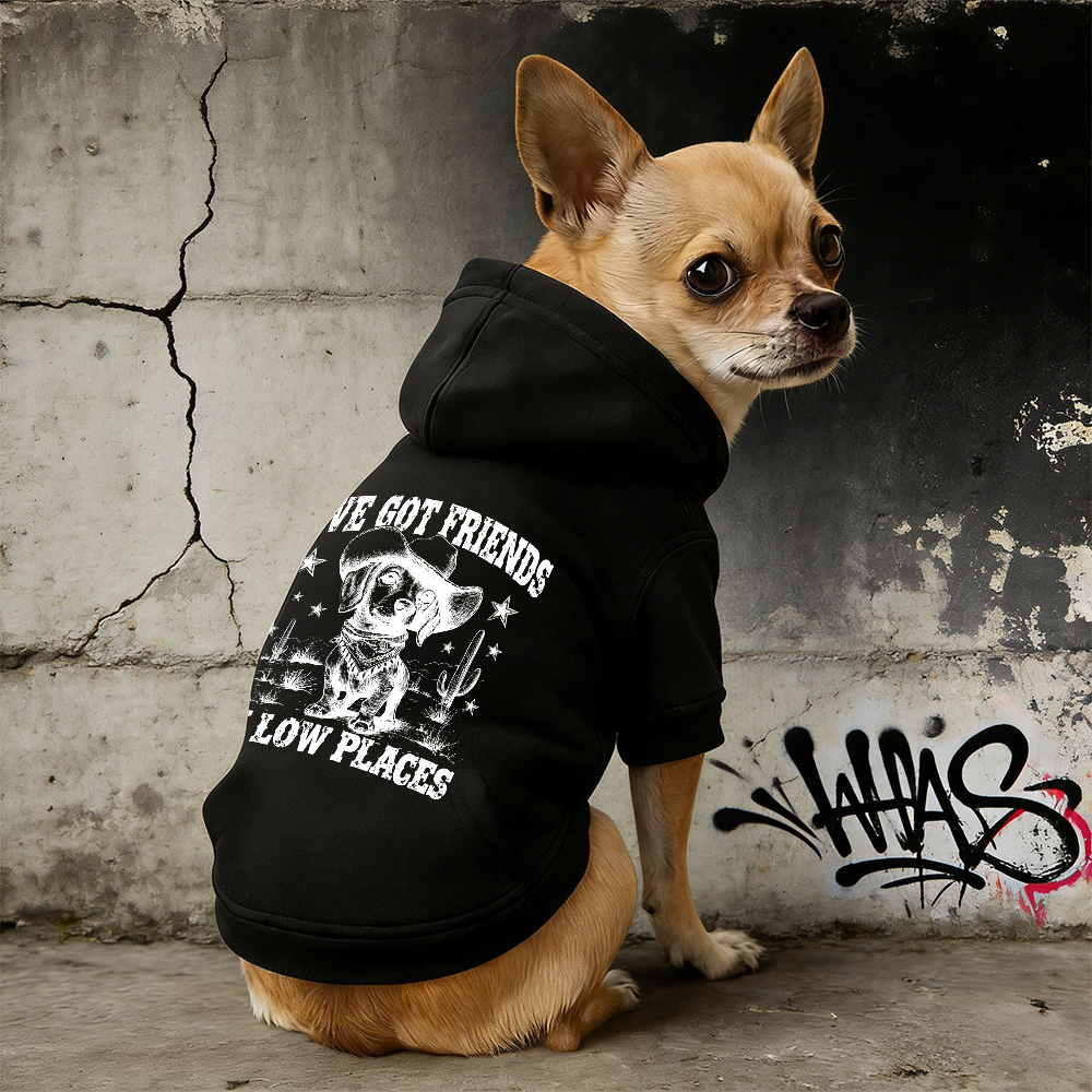 I'VE GOT FRIENDS Puppy Hoodie | BKPet340