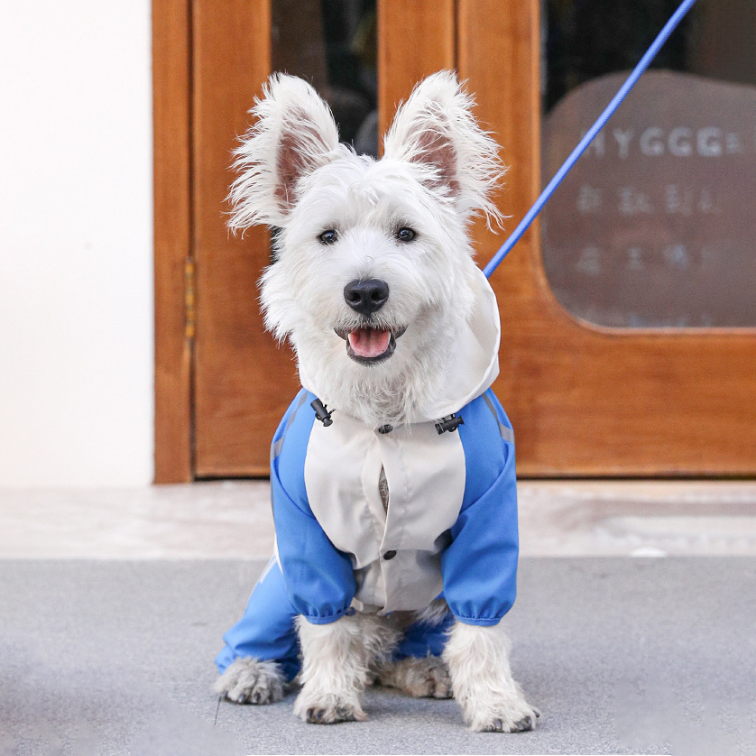 Personalized Pet Waterproof Raincoat with Hood | BKPet366